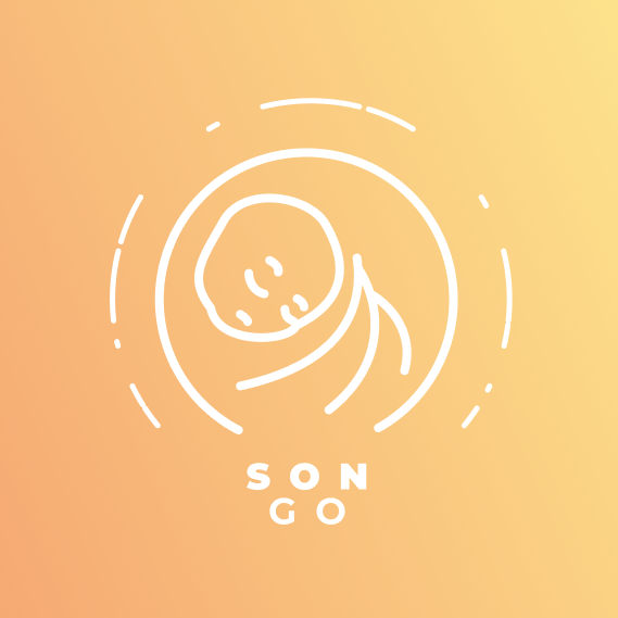 ux/ui design application logo songo