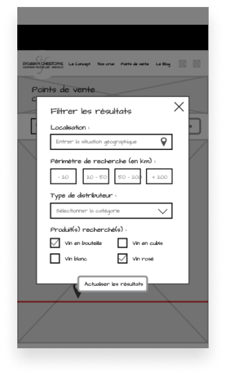 Webdesign Balsamiq wireframe filtres recherche